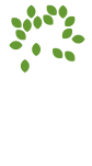 YHC Giving tree